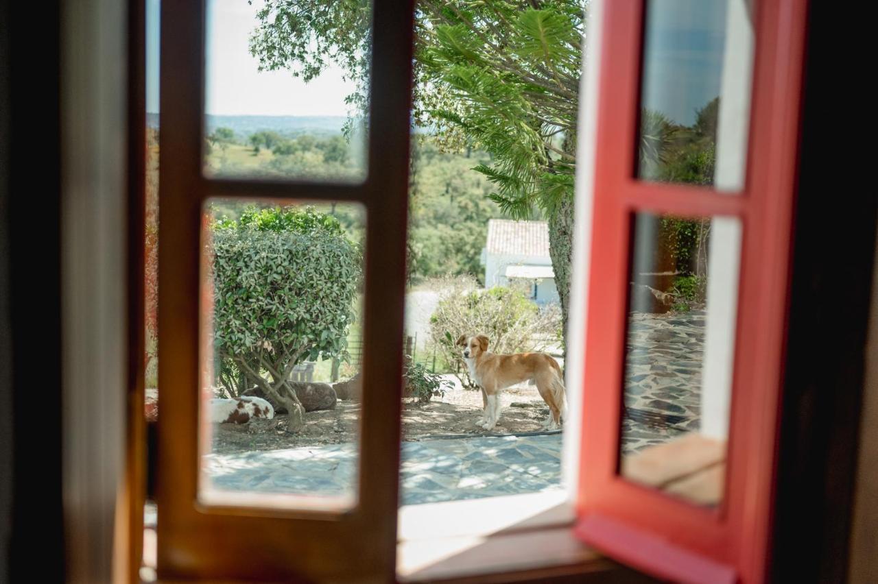 Monte Gois Country House E Spa Curvatos Exterior photo